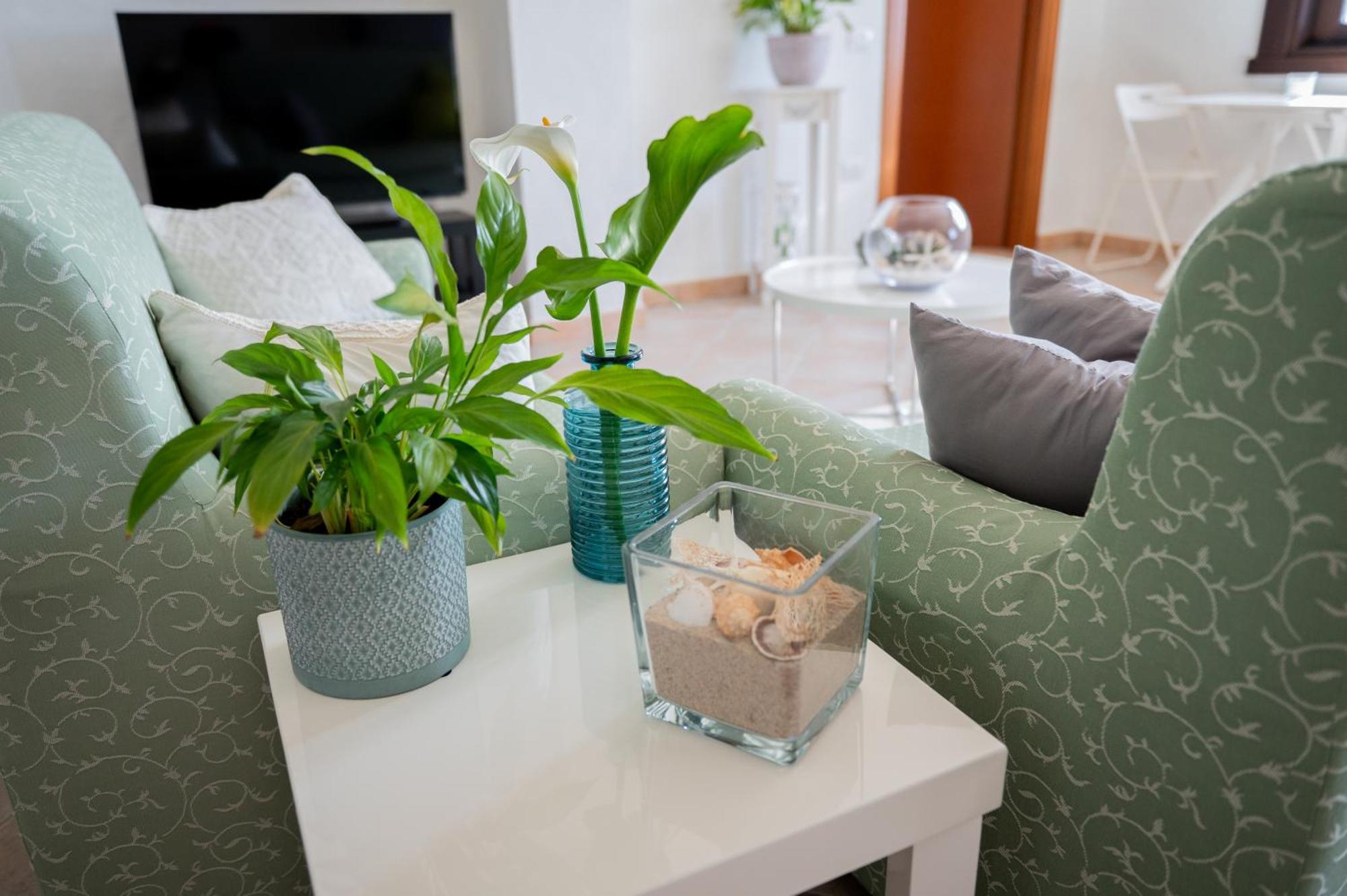 Hotel Casa Martina Pula Zewnętrze zdjęcie